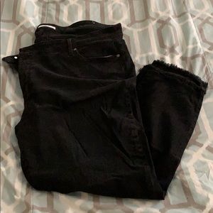 LOFT plus Skinny Jeans